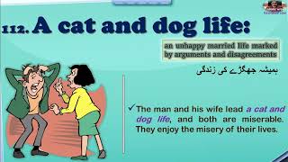 A cat and dog life Idiom | Learn Idioms