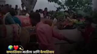 बैल पोळा स्टेटस #BailPola #Status #शेतकरी #रॉयल #RoyalFarmer