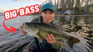 BIG Bass Fishing