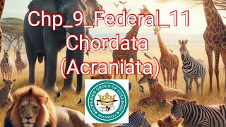 Chp_9_Animlia_Federal_11| Basic characters of Chordates|Acraniata|Notochord|Doral NS|Gill slits|tail