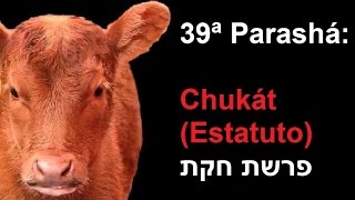 39ª Parashá: Chukát (Estatuto) por: Rosh Prof. Matheus Z. Guimarães (27/06/2015 | 5775)