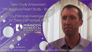 Dr  Owen Carmichael - Bogalusa Heart Study - Brain 2