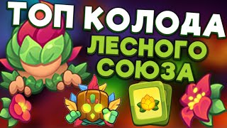 RUSH ROYALE | ТОП КОЛОДА ЛЕСНОГО СОЮЗА