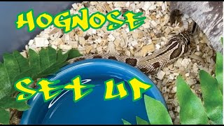 New Hognose Plus Set Up- Moonstone Project