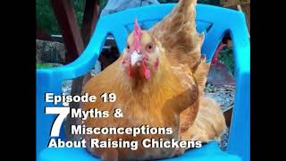 S1E19 Chickens 101   Part 4  Seven Chicken Raising Mistakes and Misconceptions