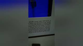 #South Africa #Diamond Museum #Kimberly#Part -22