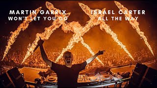 Martin Garrix & John Martin- Won’t Let You Go vs All The Way (Mashup)