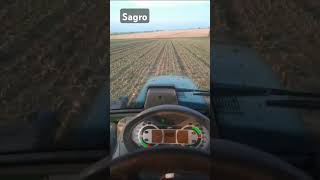 #riccic #farmvlog #sagro #farming #fy #agriculture