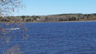 The Miramichi River