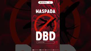 ❗ Waspada DBD 🦟