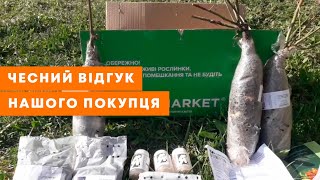 ВІДЕОВІДГУК АГРОМАРКЕТ (ОТЗЫВ) | Квіти для саду. Якісні цибулини та саджанці | Agro-Market.ua