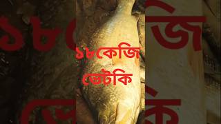 ১৮কেজি ওজনের ভেটকি মাছ 🙄🐠 🔥🙏,#shorts ,#short ,#Viral ,#fish,#fishing ,#fishfarming ,#fishcutting ,