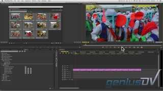 Automated Slideshow in Adobe Premiere CC