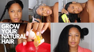 WASH DAY ROUTINE TO GROW HAIR | DIY EGG MASK