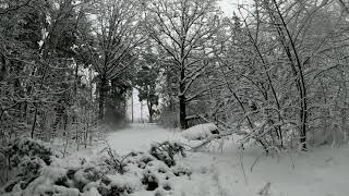 ⛄Walking in a heavy snow in Stockholm / Sweden 🇸🇪