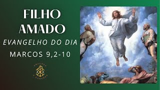 EVANGELHO DO DIA 06/08/2024 - MARCOS 9,2-10 - TRANSFIGURAÇÃO DO SERNHOR