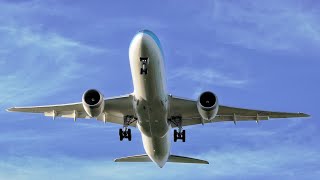 Incredible Overhead Landing TUI Boeing 787 Dreamliner in Manchester Airport