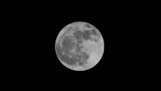 FULLMOON LIVE