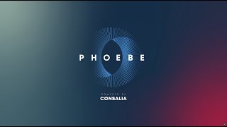 Phoebe - Revolutionise Your Key Account Planning