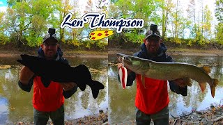 Musky Fishing + Trophy Bonus Fish!! #lenthompson #musky