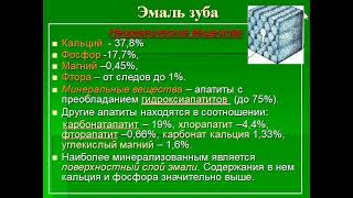 8:00 4 апр. 2022 г. Пропедевтика стоматологических заболеваний