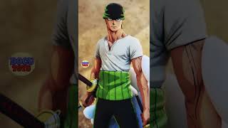 Repintado Roronoa Zoro One Piece repaint_laboratory