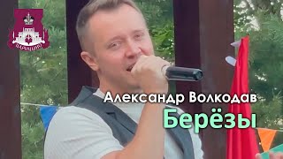 "Берёзы" Александр Волкодав - концерт ко Дню города Москвы - Царицыно 5.09.24 #москва