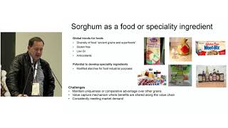 Breeding grain sorghum hybrids successes, opportunities and challenges. (русский)