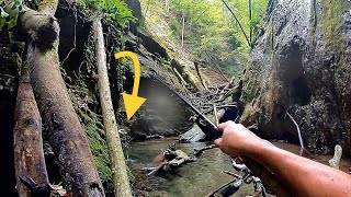 « ON ATTRAPE De SUBLIMES Truites À La CUILLERE !! Pêche en PROFONDES GORGES ALPINES »