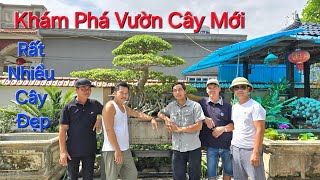 LẦN ĐẦU TIÊN dẫn Quý Vị thăm vườn RẤT ĐẸP của anh PHONG - THỦY NGUYÊN - HP .