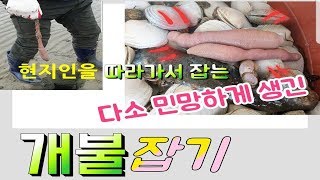 현지인따라 개불잡기,개불잡는법,서해안갯벌,갯벌체험