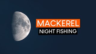 My night sea trout fishing turned into NIGHT MACKEREL FISHING