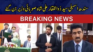 Sindh Assembly Syed Zulfiqar Ali Shah became the provincial minister