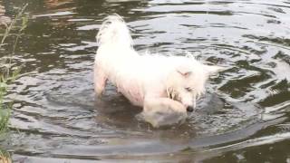 Buster discovers water