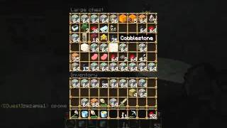 Minecraft SMP - All in a Day's Work