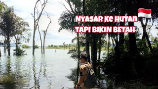 Nyasar Ke Hutan ini Bikin Betah !!! || wisata alam || Jelajah alam || Pelosok Indobesia 🇲🇨