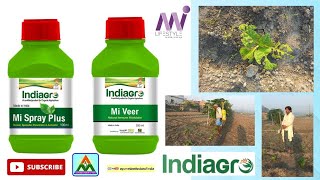 Mi Spray Plus and Mi Veer Product Application | Live Demo | INDIAGRO | Mi Lifestyle Marketing