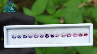 Pink To Purple Ranges of Color - Natural Sapphire Oval shape Collection from Sri Lanka CEYLON