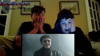 Spider-Man No Way Home Trailer Reaction