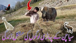 People of Siachen Valley In The Mountains | سیاچن پاکستان کے لوگوں کی عجیب زندگی