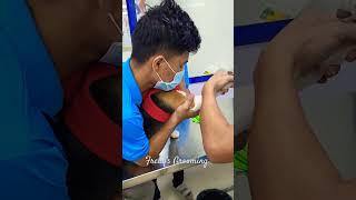 Fredy's  Grooming @Pet clinic|Spa|#Shorts