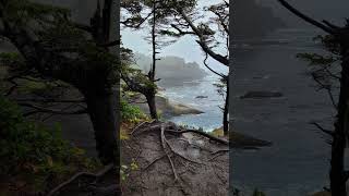 A soothe your soul kind of place #shorts #travel #capeflattery #olympicpeninsula