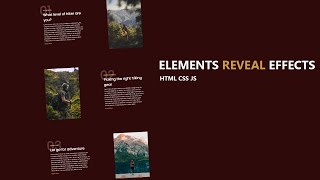 Travel Website Design using Html Css | Scrolling Elements Reveal effects