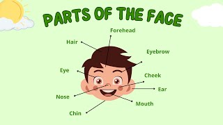 Parts of the face - Learning Body Parts (PART 1) - IN ENGLISH