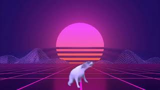 Brazilian dog dancing Synthwave Edition