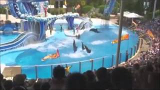 Για μια Ευρώπη χωρίς δελφινάρια, Close dolphinaria in Europe