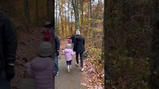 Laurel Falls Trail in Gatlinburg