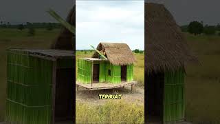 Rumah terbuat dari daun dan jerami😍 #shorts #videolucu #informasi #wawasan #diy