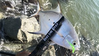 Mancing Ikan Kapur dengan Style Ajing Game | DART FISH | Smallspotted Dart Pompano | Ajing Game |