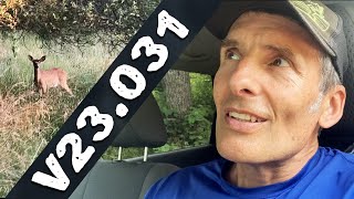 VLOG 23.031 - Jessie Diggins - Ben Ogden - Playful Deer - Breakfast - Roller Ski Technique